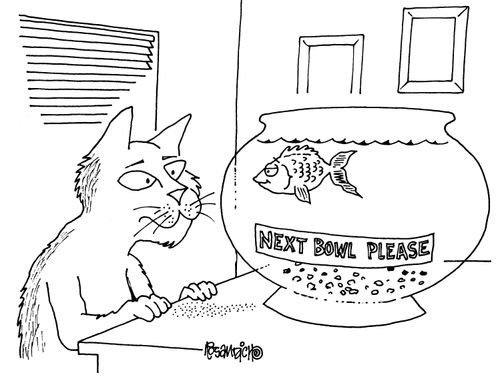 Fish has sign on tank that reads 'Next bowl please'.