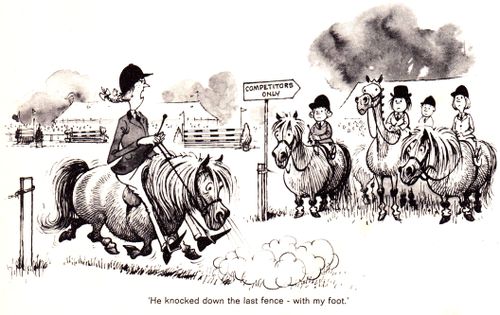 "He knocked down the last fence - with my foot."