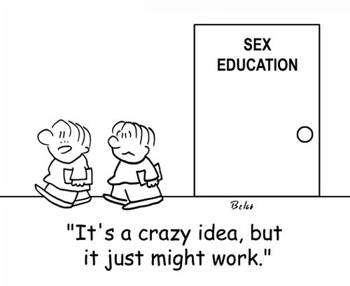 SEX EDUCATION, 'It's a crazy idea, but it just might work.'