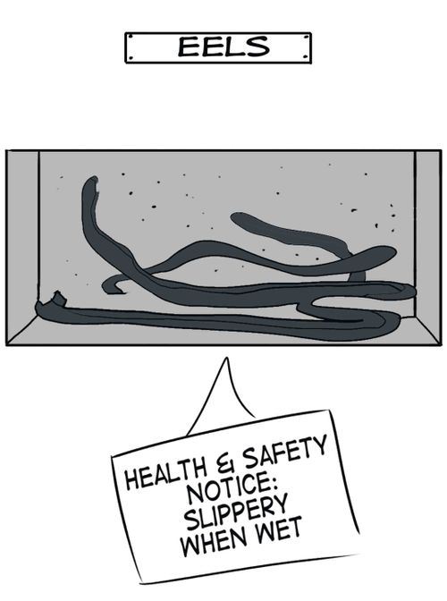 Eels - Health & Safety Notice: Slippery when wet.
