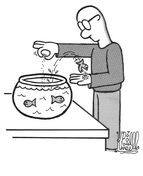 Very hungery fish jumping out of bowl to get food.
