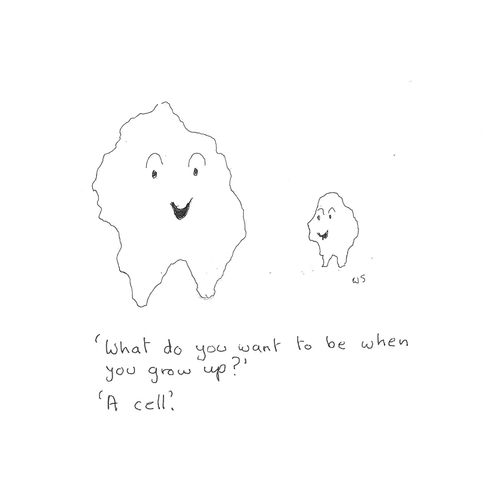 'What do you want to be when you grow up?'
