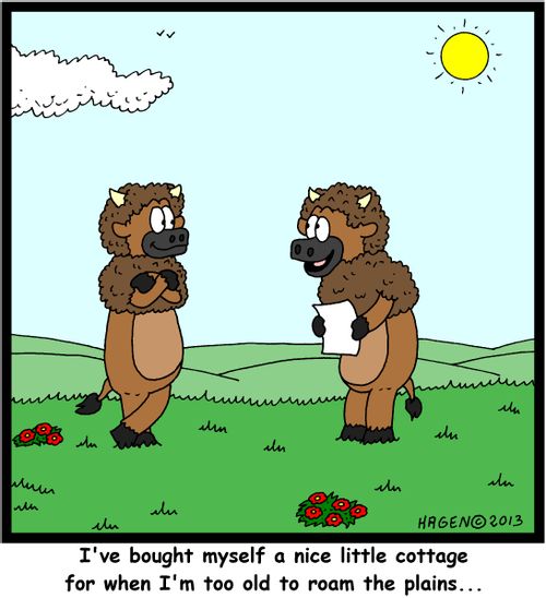 'I've bought myself a nice little cottage for when I'm too old to roam the plains...'