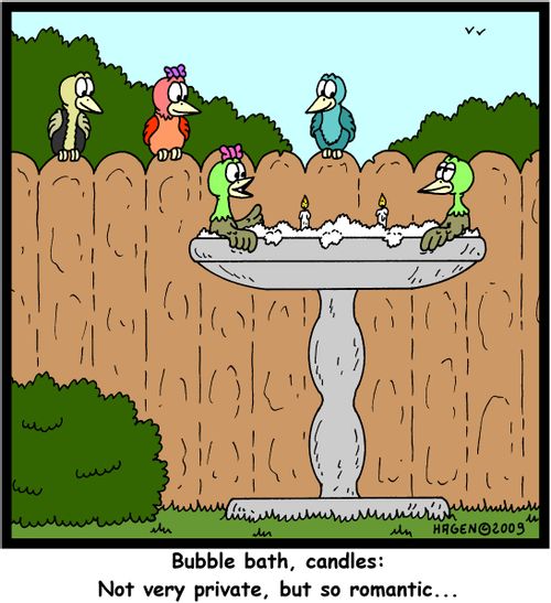 'Bubble bath, candles: Not very private, but so romantic...'