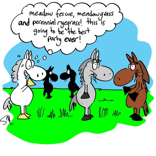'Meadow fescue, meadow grass and perennial ryegrass! This is going to be the best party ever!'