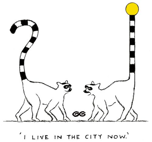 "I live in the city now."