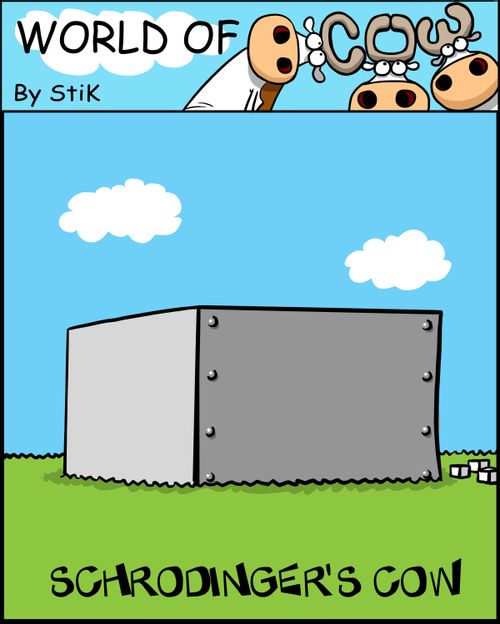Schrodinger's cow