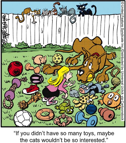 'If you didn't have so many toys, maybe the cats wouldn't be so interested.'