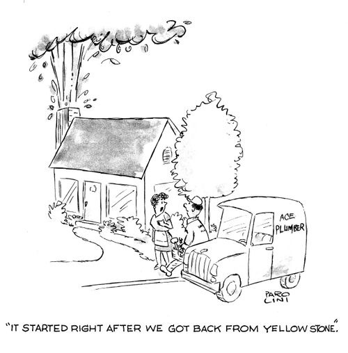 'It started right after we got back from Yellowstone.'