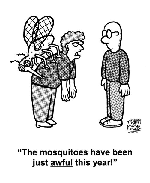 'The mosquitoes have been just awful this year!'