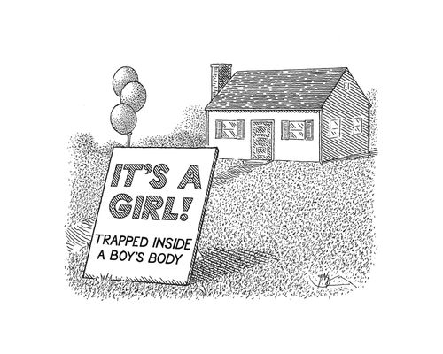 It's a girl! Trapped inside a boy's body.