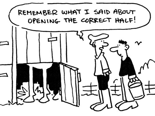 'Remember what I said about opening the correct half!'