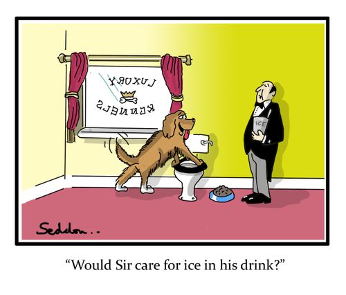 "Would Sir care for ice in his drink?"