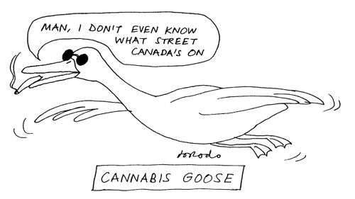 Cannabis Goose