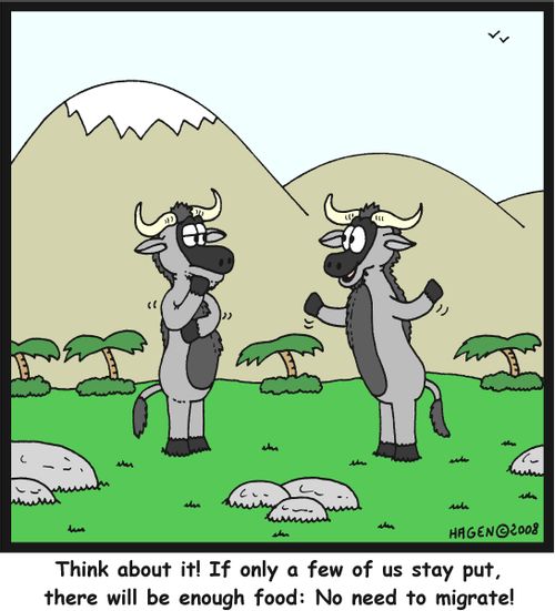 'Think about it! If only a few of us stay put, there will be enough food: No need to migrate!'