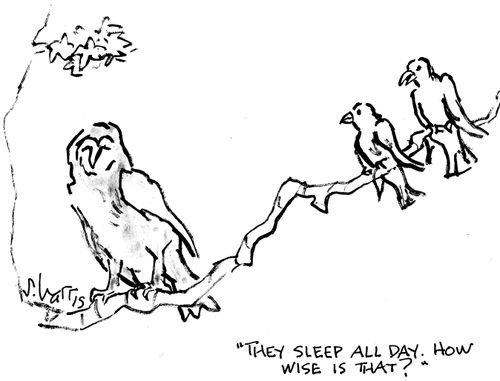 "They sleep all day. How wise is that?"
