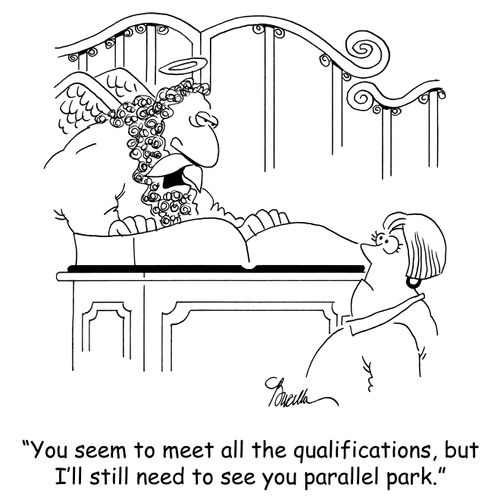 'You seem to meet all the qualifications, but I'll still need to see you parallel park.'