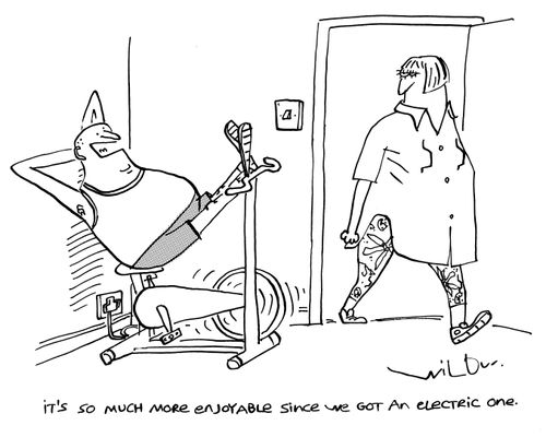 'It's so much more enjoyable since we got an electric one.'