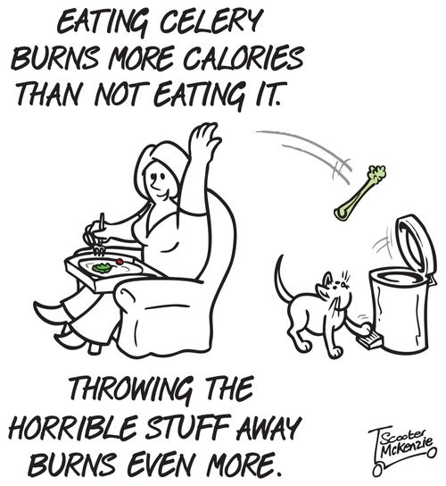 'Eating celery burns more calories than not eating it. Throwing the horrible stuff away burns even more.'