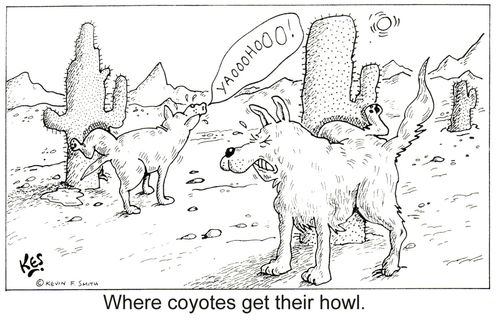 'Where coyotes get their howl.'