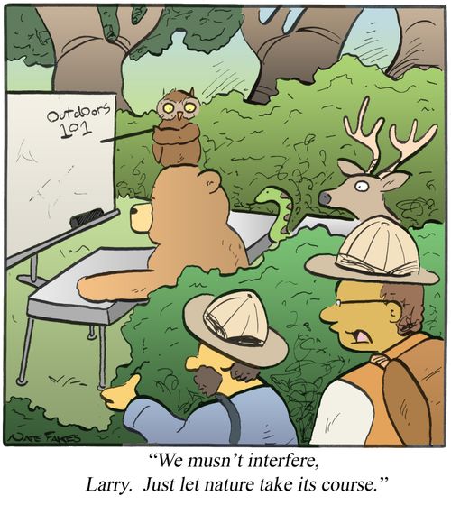 "We mustn't interfere, Larry. Just let nature take its course."
