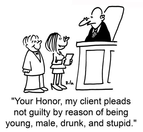 'Your Honor, my client pleads not guilty by reason of being young, male, drunk, and stupid.'