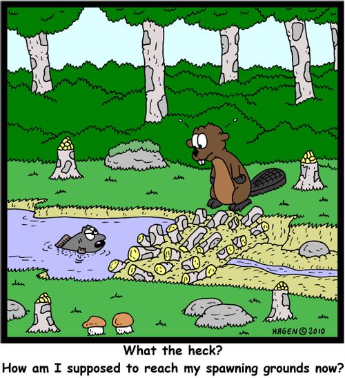 'What the heck? How am I supposed to reach my spawning grounds now?'