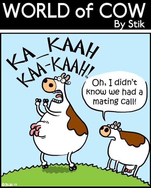 'Oh, I didn't know we had a mating call!'