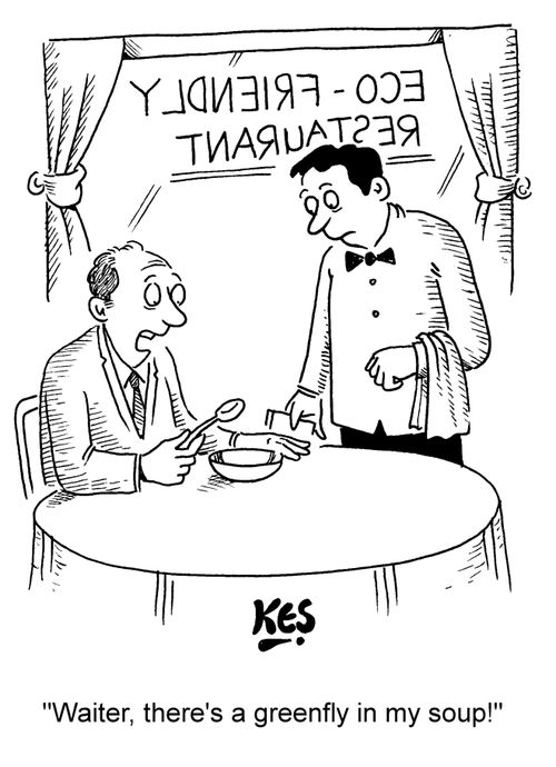 "Waiter, there's a greenfly in my soup!"
