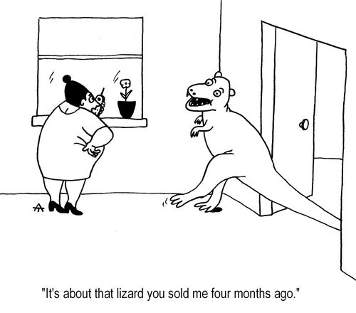 'It's about that lizard you sold me four months ago.'