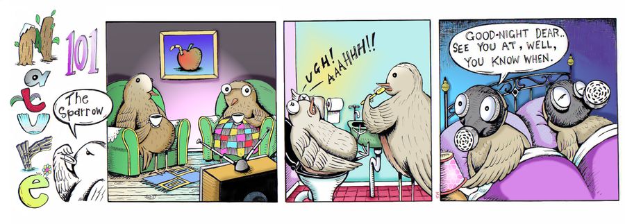 Nature 101 - The Sparrow : Domestic Mr and Mrs Sparrow before donning gas masks for their sparrow fart awakening.