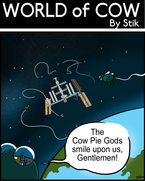 The Cow Pie Gods smile upon us, gentlemen!