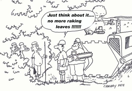 Rain forest clearance - Just think about it, no more raking leaves!
