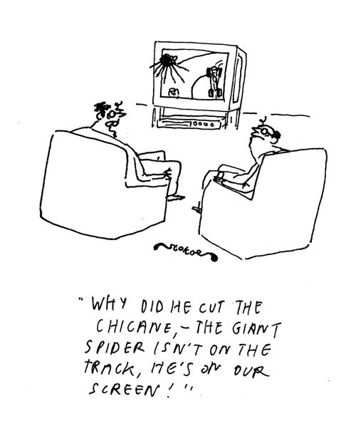 'Why did he cut the chicane - the giant spider isn't on the track, he's on our screen.'