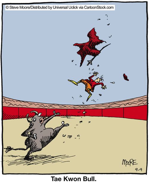 Tae Kwon Bull.