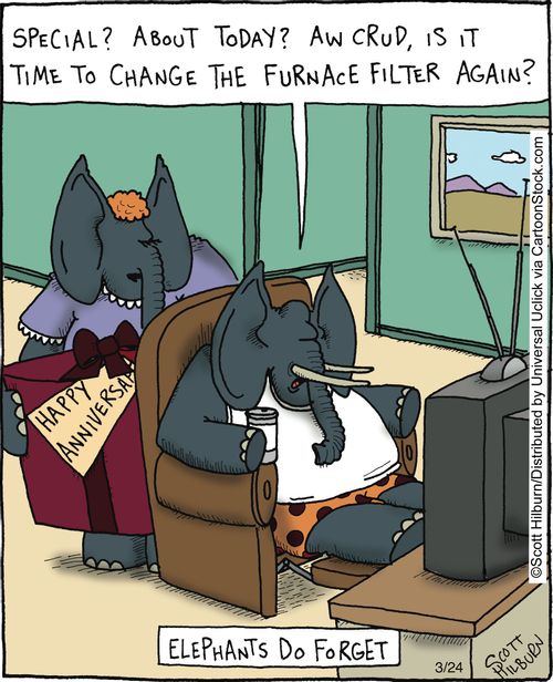 Elephants do forget.