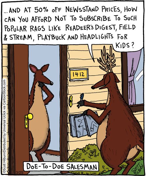 Doe-to-doe salesman,