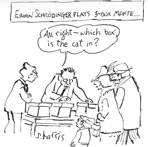 'Erwin Schrodinger plays 3-box monte...'  'All right - which box is the cat in?'