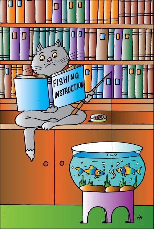 Cat and fishing instruction