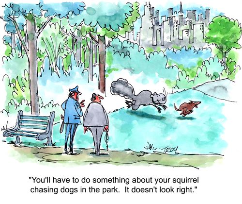 'You'll have to do something about your squirrel chasing dogs in the park.  It doesn't look right.'
