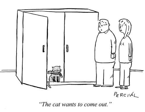'The cat wants to come out.'