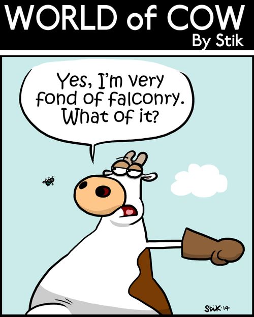 Yes, I'm very fond of falconry. What of it?