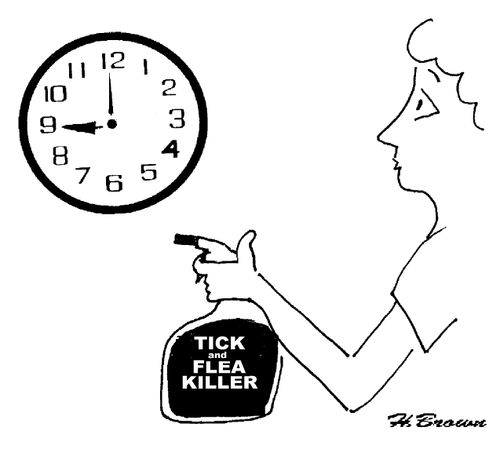 Woman approaches a clock with a tick and flea killer.