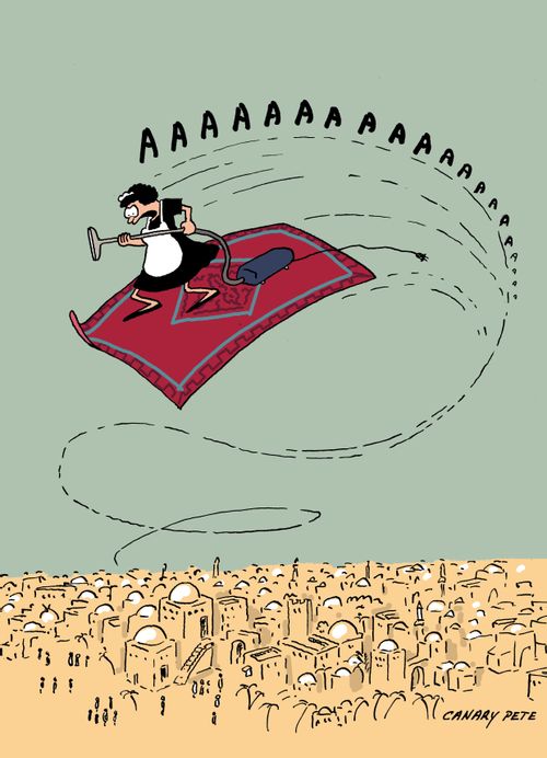 The hazards of Cleaning a Magic Carpet