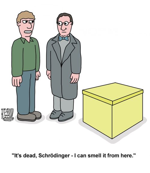 'It is dead, Schrodinger - I can smell it from here.'