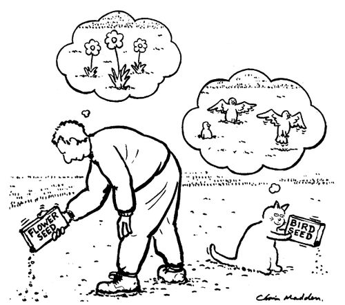 Flower seed and Bird seed
