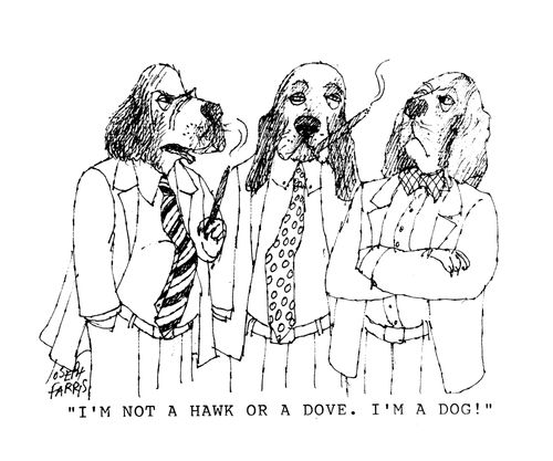 'I'm not a hawk or a dove.  I'm a dog!'
