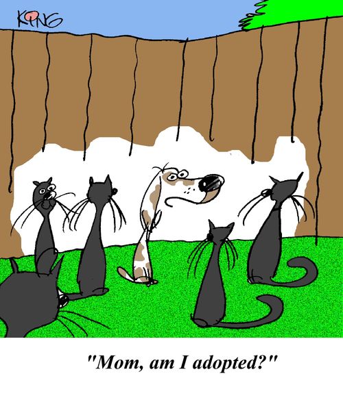 'Mom, am I adopted?'
