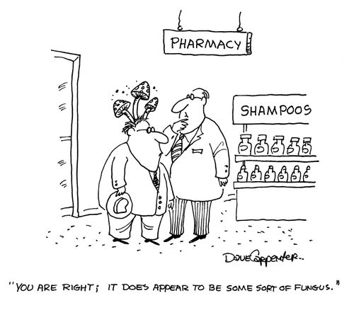 'You are right; it does appear to be some kind of a fungus.'