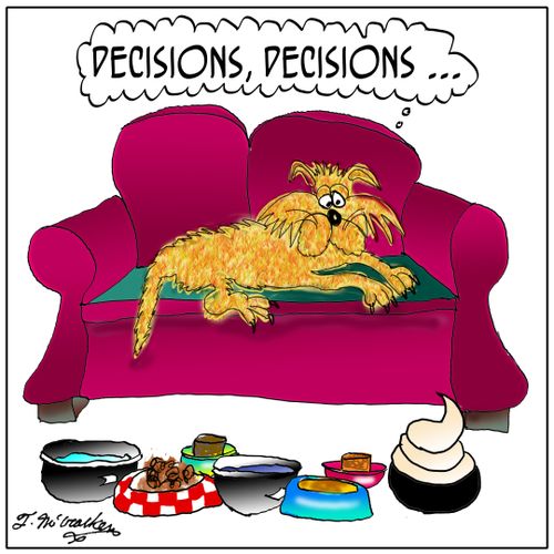 'Decisions, decisions ... '